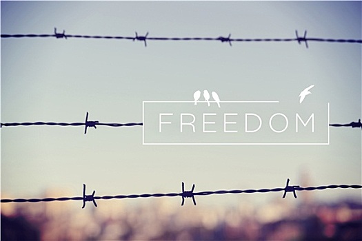 自由,概念,刺铁丝网,背景