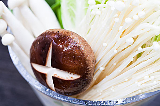 中国餐饮菜肴火锅食材蘑菇特写