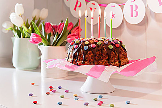 生日蛋糕,巧克力涂层,巧克力豆,郁金香,背景