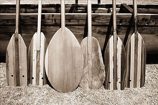 夏威夷,不同,形状,独木舟,短桨,正面,黑白照片