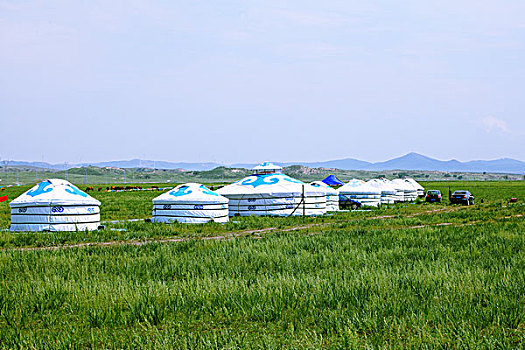 草原上的一排蒙古包