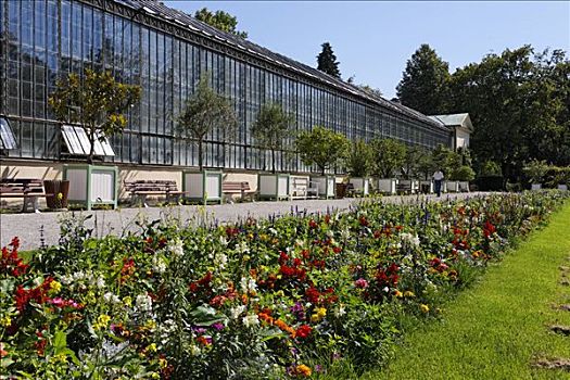 公园,温室,城堡,花园,慕尼黑,上巴伐利亚,巴伐利亚,德国