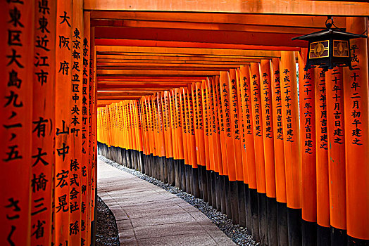 红色,大门,京都,日本