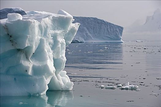 南极,南极半岛,希望,湾,融化,冰山,普罗旺斯地区艾克斯,精美,图案,冰,扁平,户外