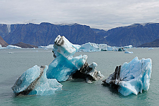 冰山,峡湾,格陵兰