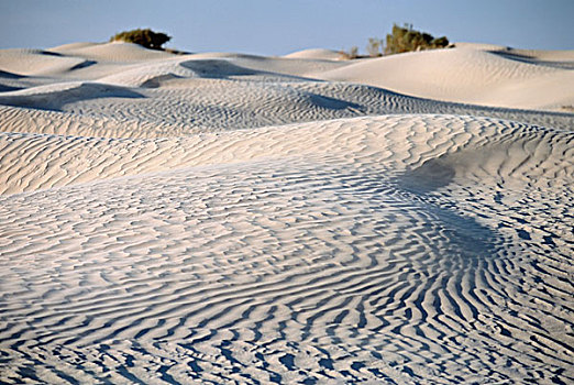 沙丘,撒哈拉沙漠,靠近,杜兹