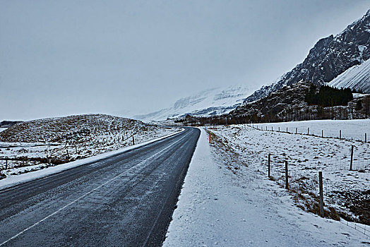 道路,冰岛,山,积雪,东方,峡湾