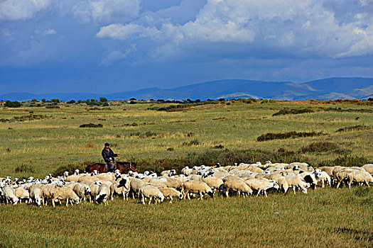 内蒙古贡格尔草原