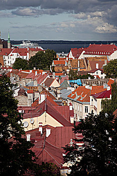 俯拍,城市,塔林,爱沙尼亚