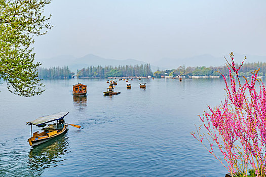 杭州西湖风光春景