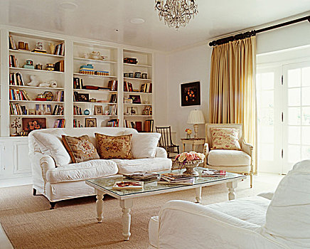 客厅,一对,白色,沙发,书架,一个,墙壁