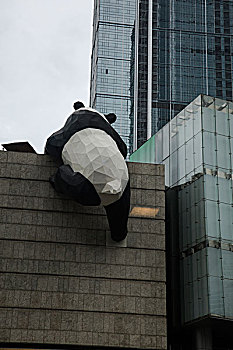 熊猫越狱