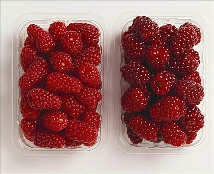 两个,树莓,塑料制品,扁篮