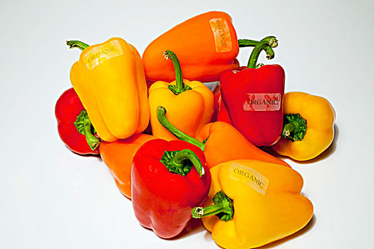 柿子椒,有机,标签,滑铁卢,魁北克,加拿大
