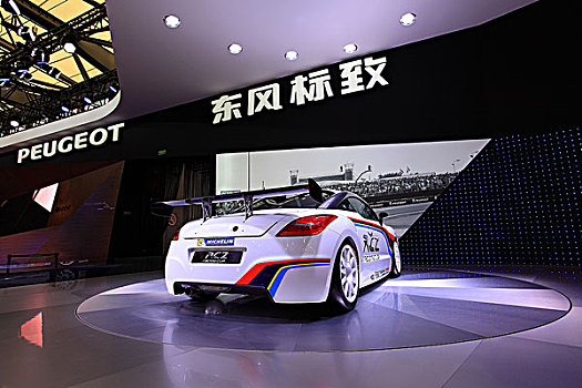 上海第十五届国际车展