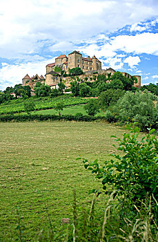 土地,城堡,14世纪,酒乡,勃艮第,法国