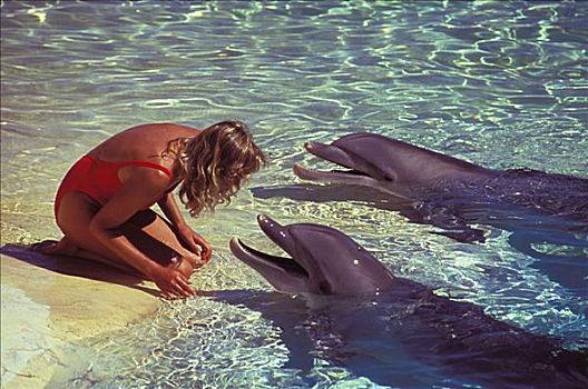 夏威夷,女人,两个,海豚