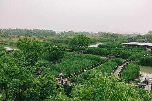 湖州德清下渚湖风景