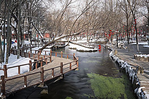 公园雪景