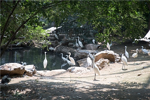 济南动物园