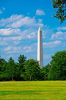 华盛顿纪念碑,草地,华盛顿特区,美国