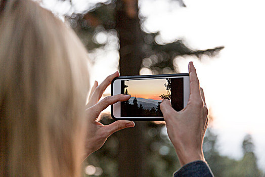 女人,拍照手机,摄影,日落