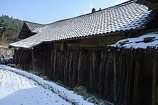 冬日小景