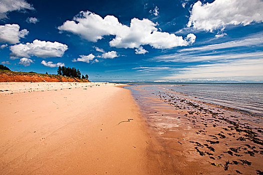 海滩,红色,省立公园,爱德华王子岛,加拿大