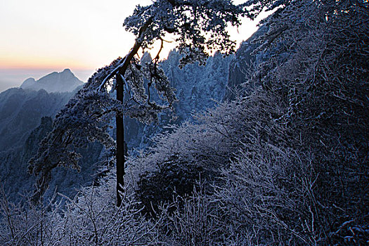 黄山风景区