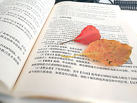 书与红叶