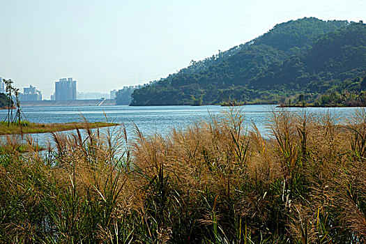 深圳梅林水库