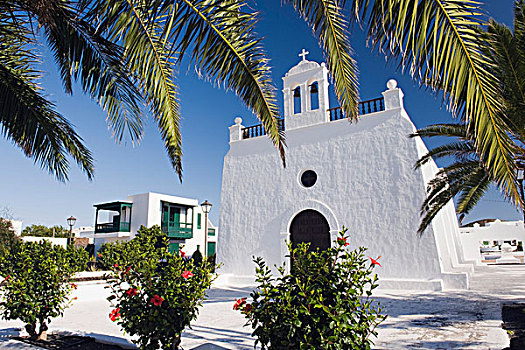 教堂,棕榈树,树,兰索罗特岛,加纳利群岛,西班牙,欧洲