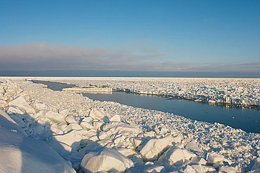 楚科奇海,岸边,手推车,阿拉斯加,风景,浮冰