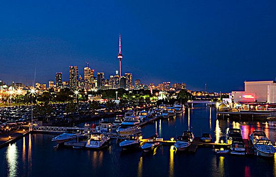 市区,多伦多,风景,夜晚,加拿大