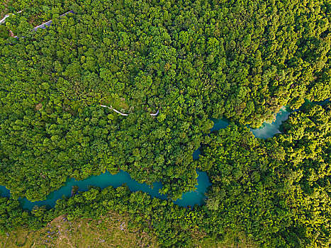 航拍中国南方喀斯特地貌水上森林景观