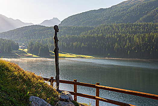 田园,湖,上恩嘎丁,瑞士