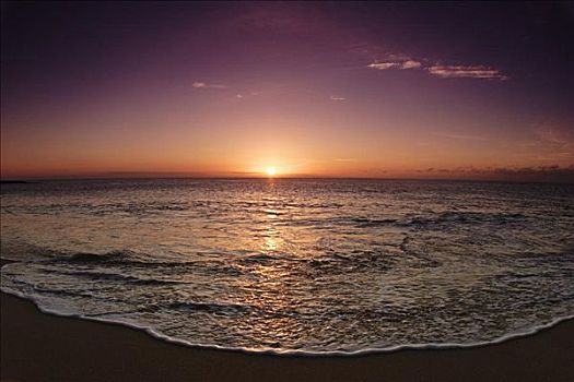夏威夷,瓦胡岛,北岸,水,岸边,漂亮,沙滩,日落
