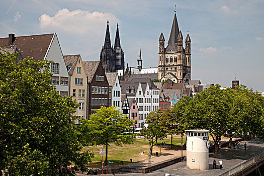老城,科隆,大教堂,教堂,北莱茵威斯特伐利亚,德国,欧洲
