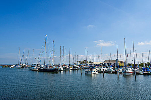 港口,帆船,夏天,北方,日德兰半岛,丹麦
