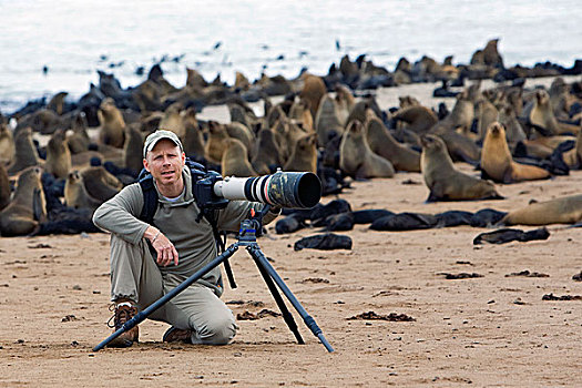摄影师,岬角毛海豹,毛海狮,生物群,克罗斯角,纳米比亚