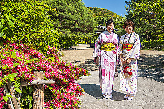 日本人,女孩,日本传统,套装,浴衣和服,走,公园,神祠,京都,日本
