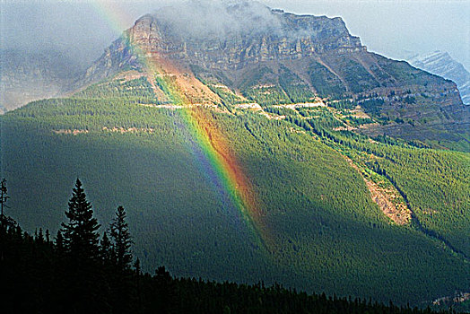 彩虹,冰原大道,靠近,佩多湖,班芙国家公园,艾伯塔省,加拿大