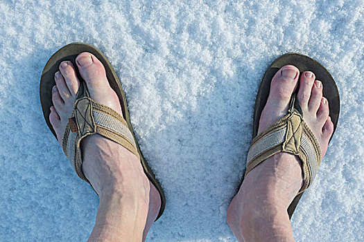 赤脚,人字拖鞋,雪中