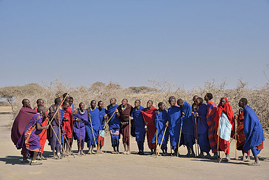 马萨伊人,男人,跳舞,恩戈罗恩戈罗,保护区,坦桑尼亚,非洲