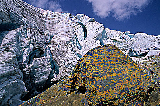 石头,边缘,冰河,罗布森山,省立公园,不列颠哥伦比亚省,加拿大