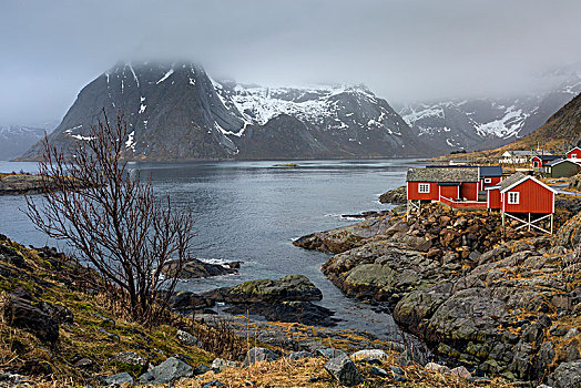 渔村,水岸,仰视,雪,崎岖,山,罗弗敦群岛,挪威