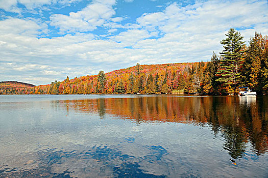 湖,秋叶,山,反射,新英格兰