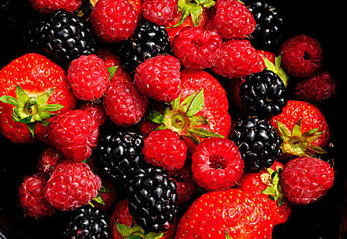 草莓,树莓,黑莓