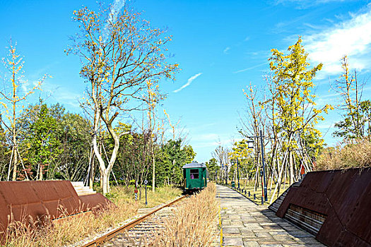 杭州白塔公园秋景