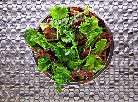 蔬菜沙拉,地中海,绿色,红色,菠菜,现代,不锈钢,桌子